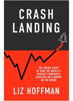 Buy Crash Landing: The Inside Story Of How The World's Biggest Companies Survived An Economy On The Brink in UAE