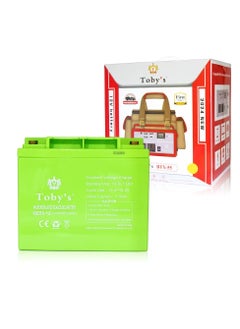 Buy Toby's BTY 55A Battery 55000mAh Power Rechargeable Battery With 220V Power Inverter Best For Camping in UAE