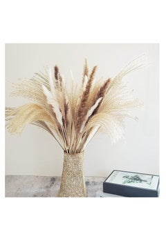 Buy 60-Piece Natural Dried Pampas Reed Grass Set for Flower Arrangements Home Décor in UAE