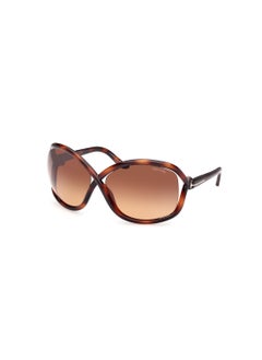 Buy Women's Butterfly Shape  Sunglasses FT106852F68 Lens Size: 68 Millimeter - Dark Havana in Saudi Arabia