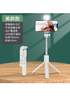 Buy Factory direct mobile phone Bluetooth selfie stick tripod light fill light selfie stick mini portable handheld camera artifact White with fill light [110cm] in Saudi Arabia