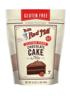 Buy Chocolate Cake Mix 454grams in UAE