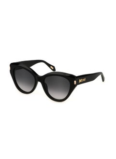 Buy Women's Butterfly Shape  Acetate Sunglasses SJC033 550700 - Lens Size: 55 Mm - Shiny Black in Saudi Arabia