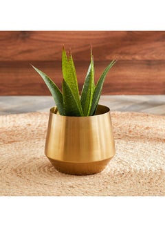 اشتري Ace Metal Planter 15x27x15 cm في الامارات