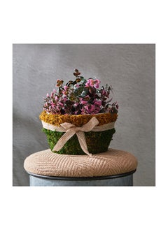 Buy Lumber Natural Moss Basket with Ribbon 20 x 11 x 20 cm in UAE