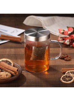 Buy Zen Borosilicate Glass Mug with Stainless Steel Infuser 400 ml in UAE