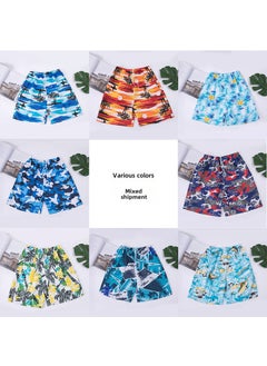 اشتري 1 x 5 pcs Stylish Quick-Dry Mens Beach Shorts Casual Swimwear Multicolor mixed batch في السعودية