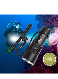 اشتري Diving Flashlight - 6000 Lumens Rechargeable Scuba Dive Lights IPX8 Waterproof Underwater Led Flashlights Super Bright Submersible Torch Lights for Under Water Deep Sea Snorkeling Cave at Night في الامارات