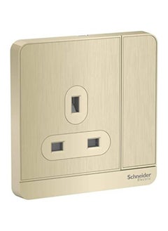 Buy Schneider Electric AvatarOn E8315_GH_G12 switched socket 3P 13A 250V Metal Gold Hairline in UAE