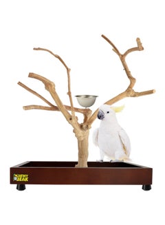 Buy Bird Stand Table Top Natural wooden Parrot Play Stand Indonesian Java wood Tree Perches with Stainless steel feeder medium size in UAE