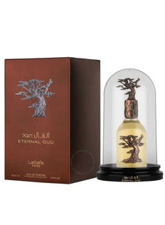 Buy Eternal Oud perfume 100ml in Saudi Arabia