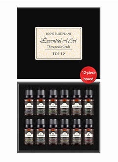 Buy 12-piece Boxed Vegetable Essential Oil 10ml in Saudi Arabia