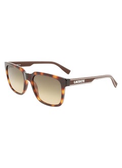 Buy Men's Square Sunglasses - L967S_230 - Lens size: 55 mm in UAE