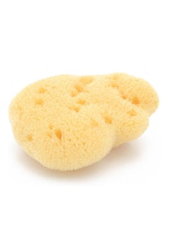 اشتري Fine Silk Sea Sponge 100% Natural Size-10 Piece Of One في الامارات