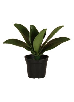 اشتري Artificial Big Leaves Plant Green/Black Small 19cm في الامارات