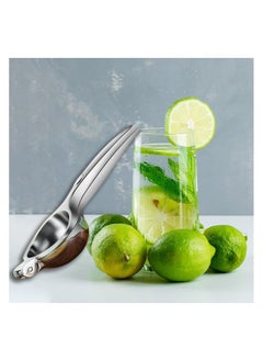 Buy falmer Luxe Lemon Juicer in Egypt