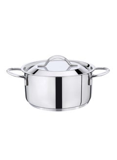 Buy Premier 3-ply Clad Stainless Steel Stew Pot TPC-20 cm in UAE