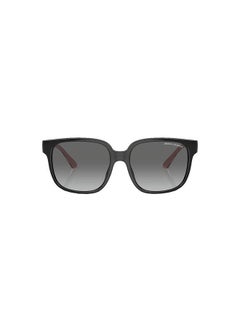 Buy Full Rim Round Sunglasses 0AX4136SU 56 821111 in Egypt