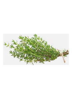 Buy Wild thyme seeds in Saudi Arabia