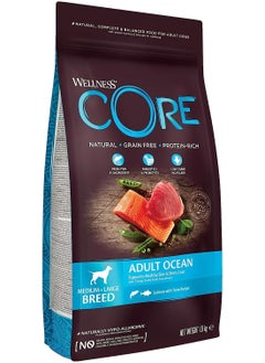 اشتري Adult Ocean Medium and Large Breed Dog Food with Salmon & Tuna Recipe 1.8 kg في الامارات