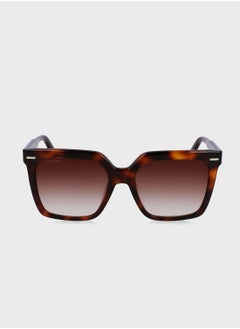 Buy Oversized Sunglasses in UAE