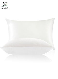 Buy Pure Silk And Cotton Pillow Case With Hidden Zipper, Beige in Saudi Arabia