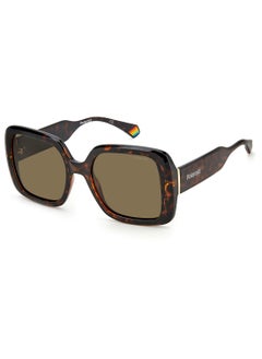 اشتري Women Square Sunglasses PLD 6168/S  HVN 54 في السعودية