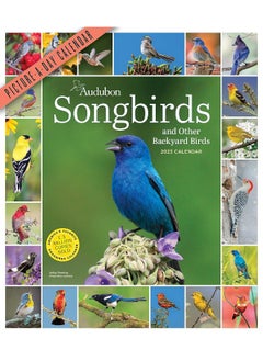 Buy Audubon Songbirds and Other Backyard Birds Picture-A-Day Wall Calendar 2023: A Beautiful Bird Filled Way to Keep Track of 2023 in UAE