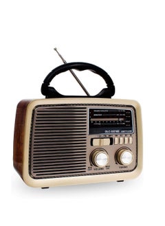 Buy Bluetooth portable radio in Saudi Arabia