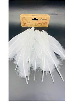 Buy 12 Pcs Feathers Crafts Goose Feathers for DIY Earrings Craft For Home Wedding Baby Shower Decorations White in UAE