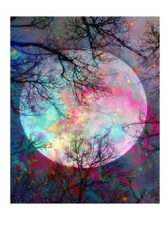 اشتري Bright Moon Full Drill Embroidery Cross Stitch Picture Supplies Arts Craft Wall Sticker Decor Diamond Dotz Painting Kits For Adults 11.8x15.8 inch Diamond Painting Disney في الامارات