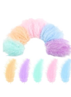 Buy 300 Pcs Colorful Feathers for Craft DIY Assorted Native Crafts for Carnival Mardi Gras Party Costume Feather Mask, Wind Bell, Hat Jewelry Cloths Bag Earring Accessories in UAE