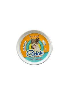 Buy Unipro Orange And Kiwi Ice Cream For Dogs 60g in UAE