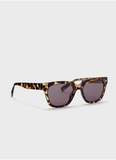 Buy Oversized Sunglasses in UAE