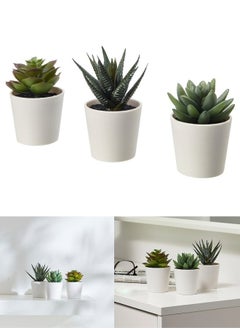 Buy Set of 3 Artificial Succulent Plants in Minimalist White Pots – Perfect for Home and Office Decor in Egypt