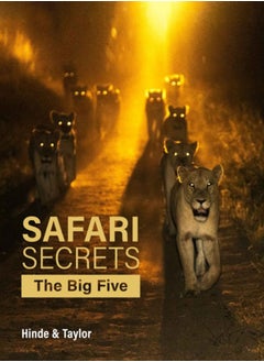 Buy Safari Secrets : The Big Five in Saudi Arabia