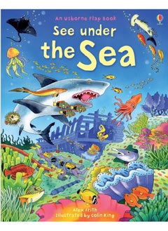 Buy Under the Sea (See Inside): An Usborne Flap Book. With over 80 flaps to lift in UAE