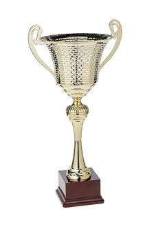 Buy TA Sport Code 7006/3 Trophy Cup in UAE