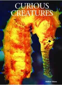 Buy Curious Creatures in UAE