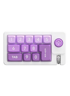 اشتري K810 Rocker Macro Definition RGB Hot Plug Macro Definition Wired Mechanical Game Keyboard pink purple في الامارات