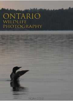 Buy Ontario Wildlife Photography in UAE