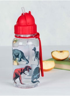 Buy Prehistoric Land Water Bottle in UAE