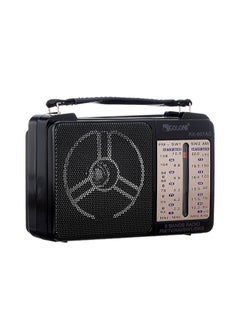 Buy Portable Classic Radio RX-607AC in Egypt