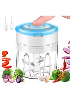 اشتري Mini Electric Garlic Chopper, Electric Mini Food Processor, USB Charging and with 3 Sharp Blades, BPA-Free, for Baby Food, Chili, Onion, Vegetables, Meat, Fruits and Nuts في الامارات