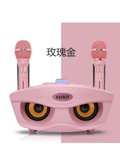 Buy SD306 family KTV audio karaoke mobile phone TV song training machine integrated dual microphone owl speakerSd306s pink Sd306s pink in UAE