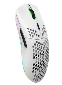 Buy Sagit Rechargeable 2.4G RGB Lighting Game USB Wireless 36400DPI  Gaming Mous in UAE