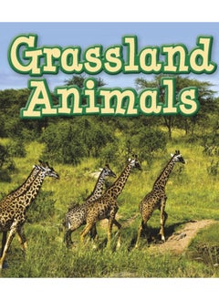 Buy Grassland Animals in UAE