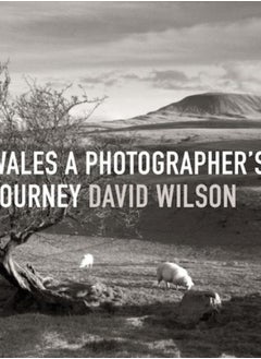 Buy Wales: A Photographer's Journey in UAE