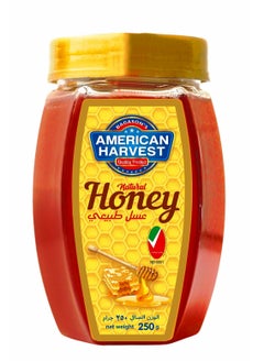 Buy Natural Honey Jar 250grams in UAE