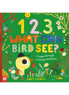 Buy 1, 2, 3, What Can Bird See?: A peep-through counting adventure in UAE